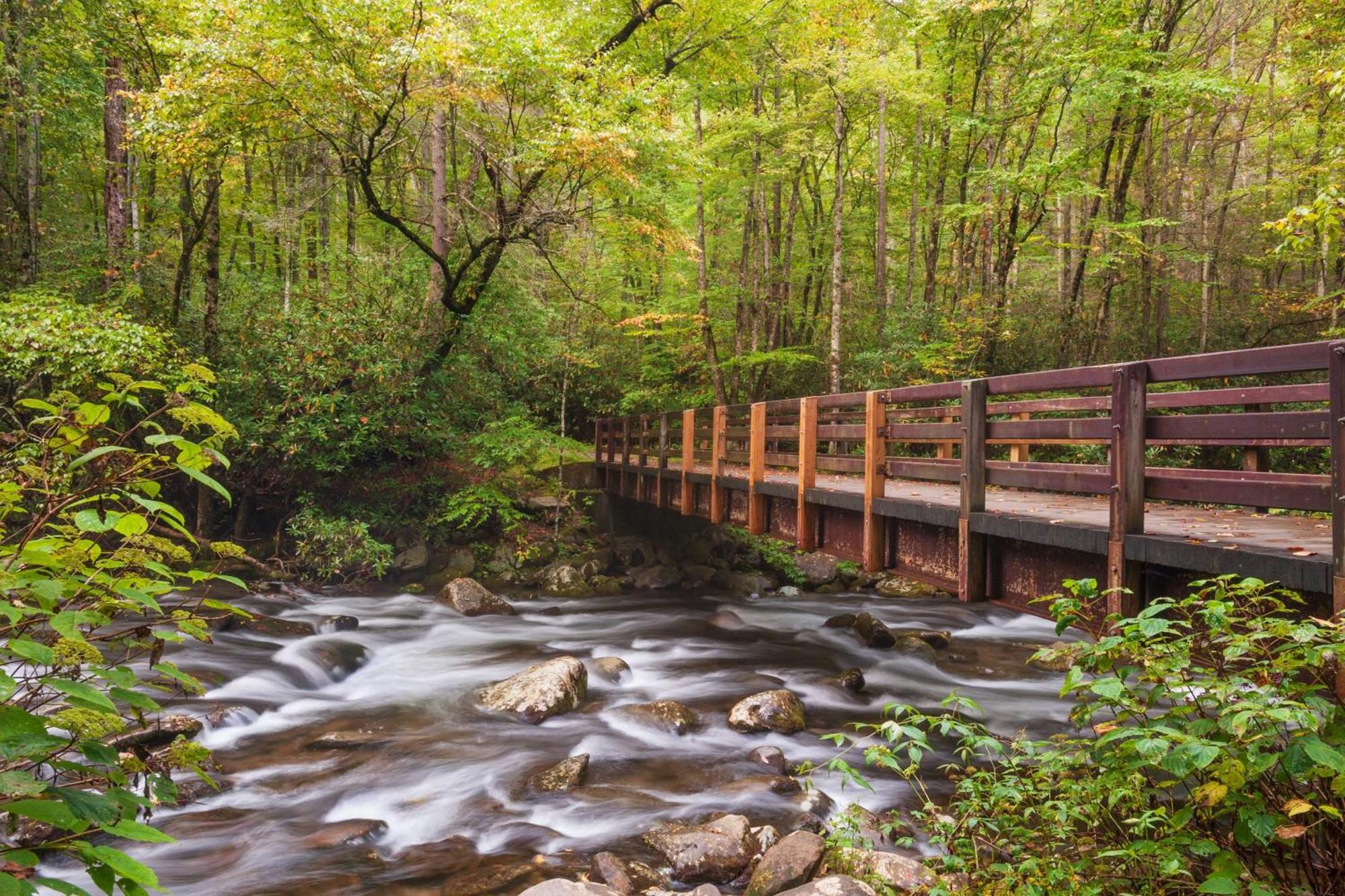 Wilderness Lodge, Hot Tub, Game Room, Pool Access, 1089 Free Tickets Each Paid Day, Dollywood And M Sevierville Exteriér fotografie